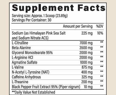 Hybrid Focus Pre-workout (High Stim)